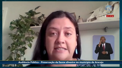 Captura de Tela (739).png