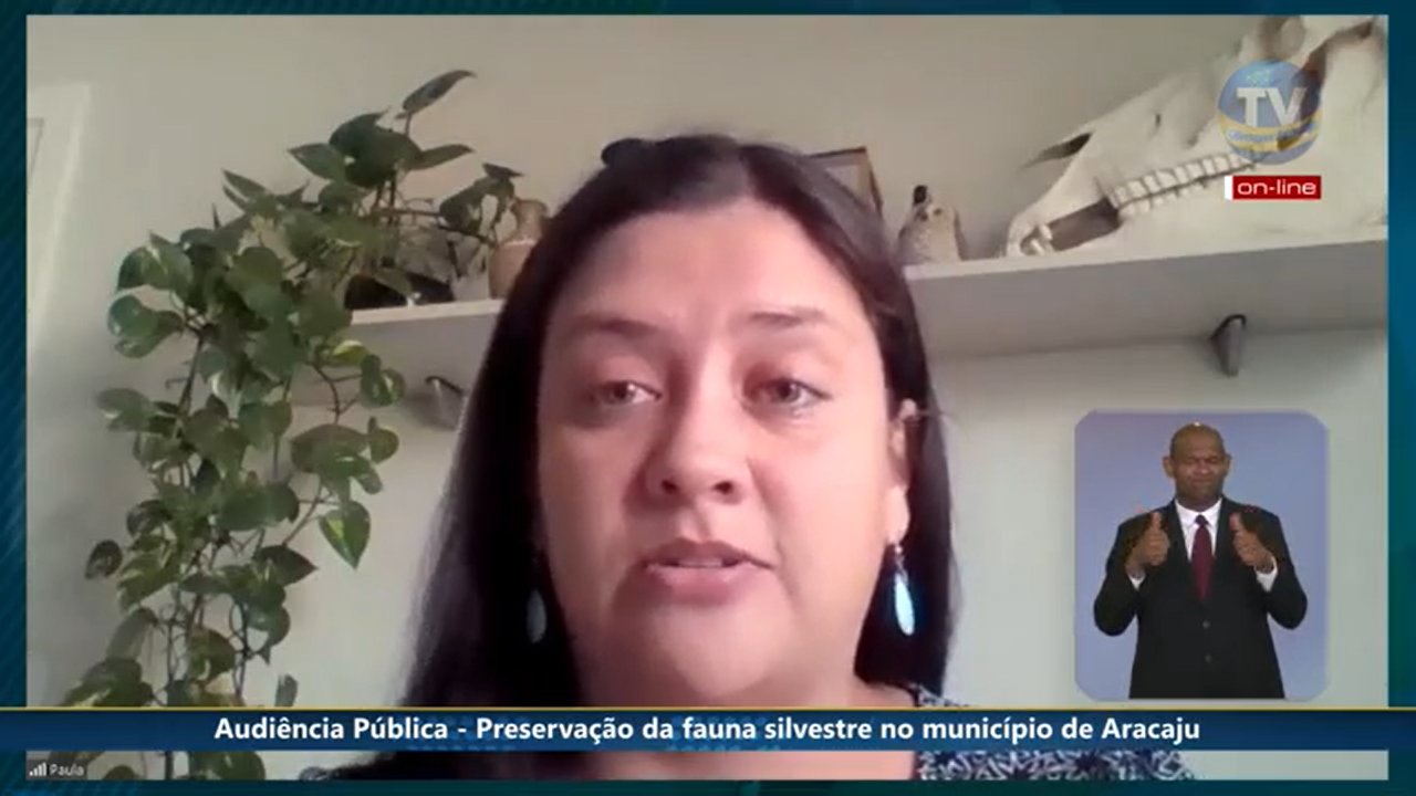 Captura de Tela (746).png