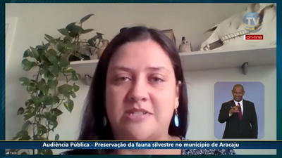 Captura de Tela (750).png