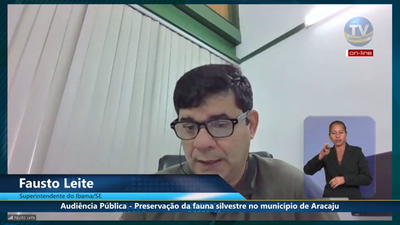 Captura de Tela (845).png