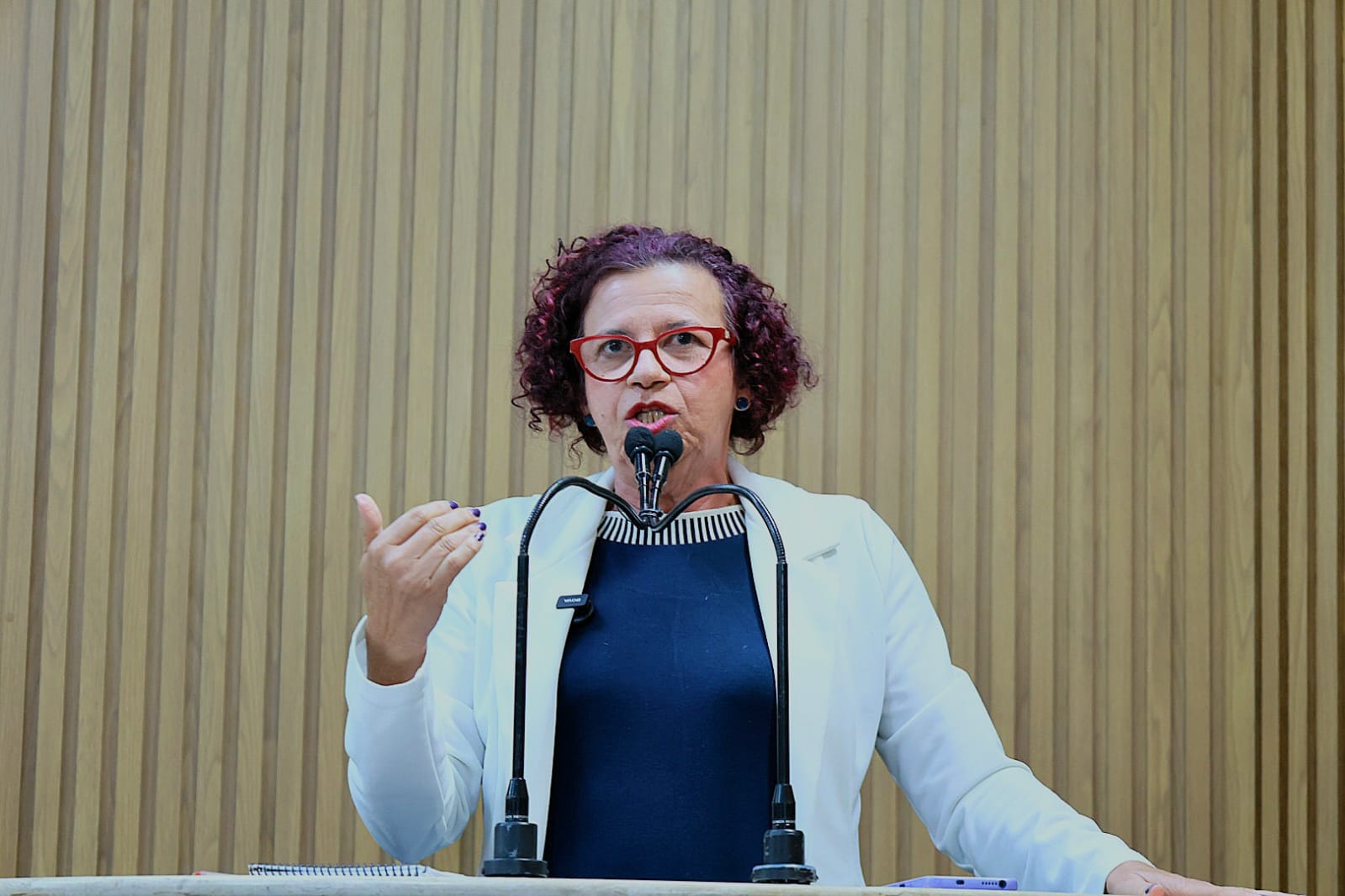 WhatsApp Image 2025-08-13 at 10.14.47 (1).jpeg