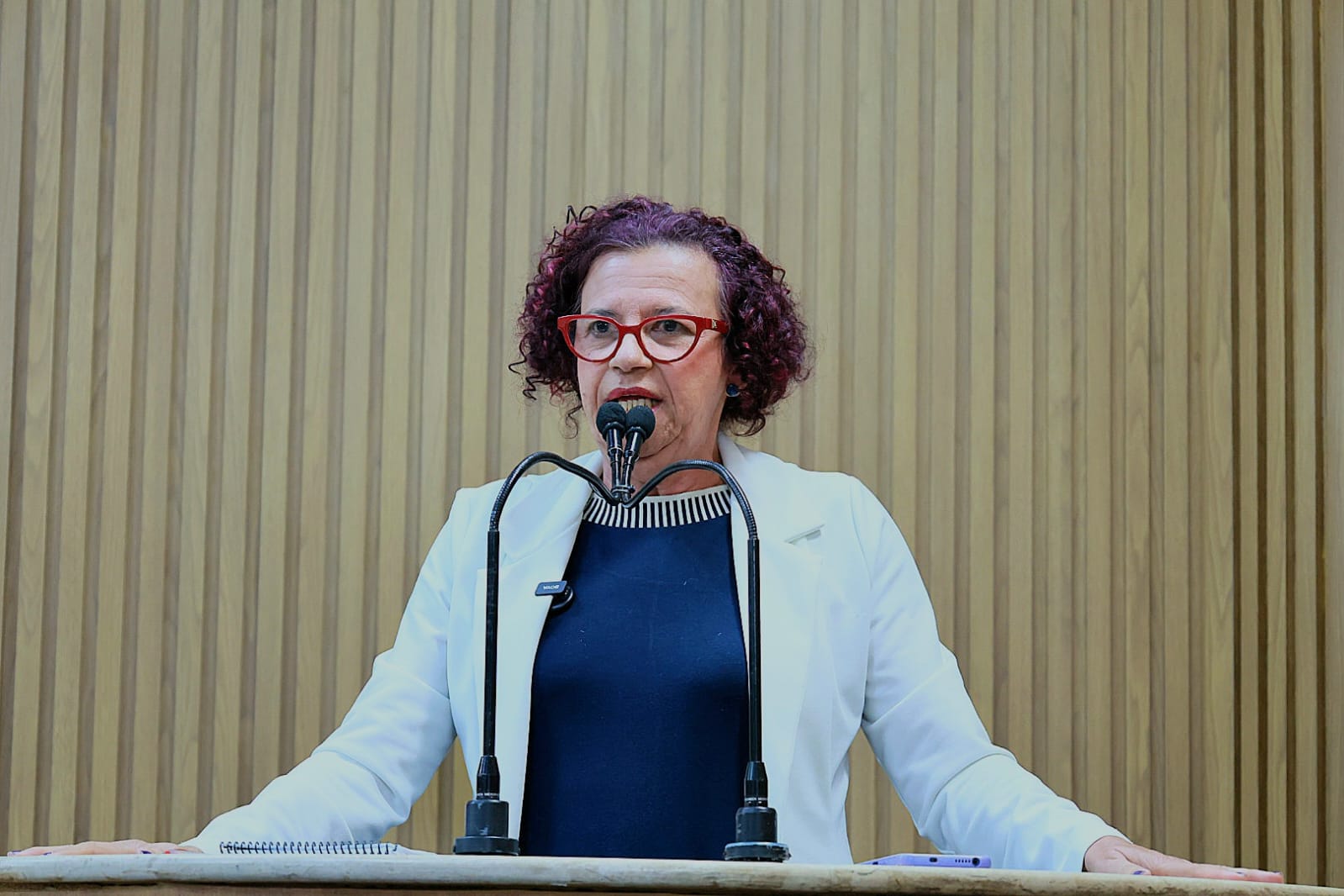 WhatsApp Image 2025-08-13 at 10.14.47.jpeg