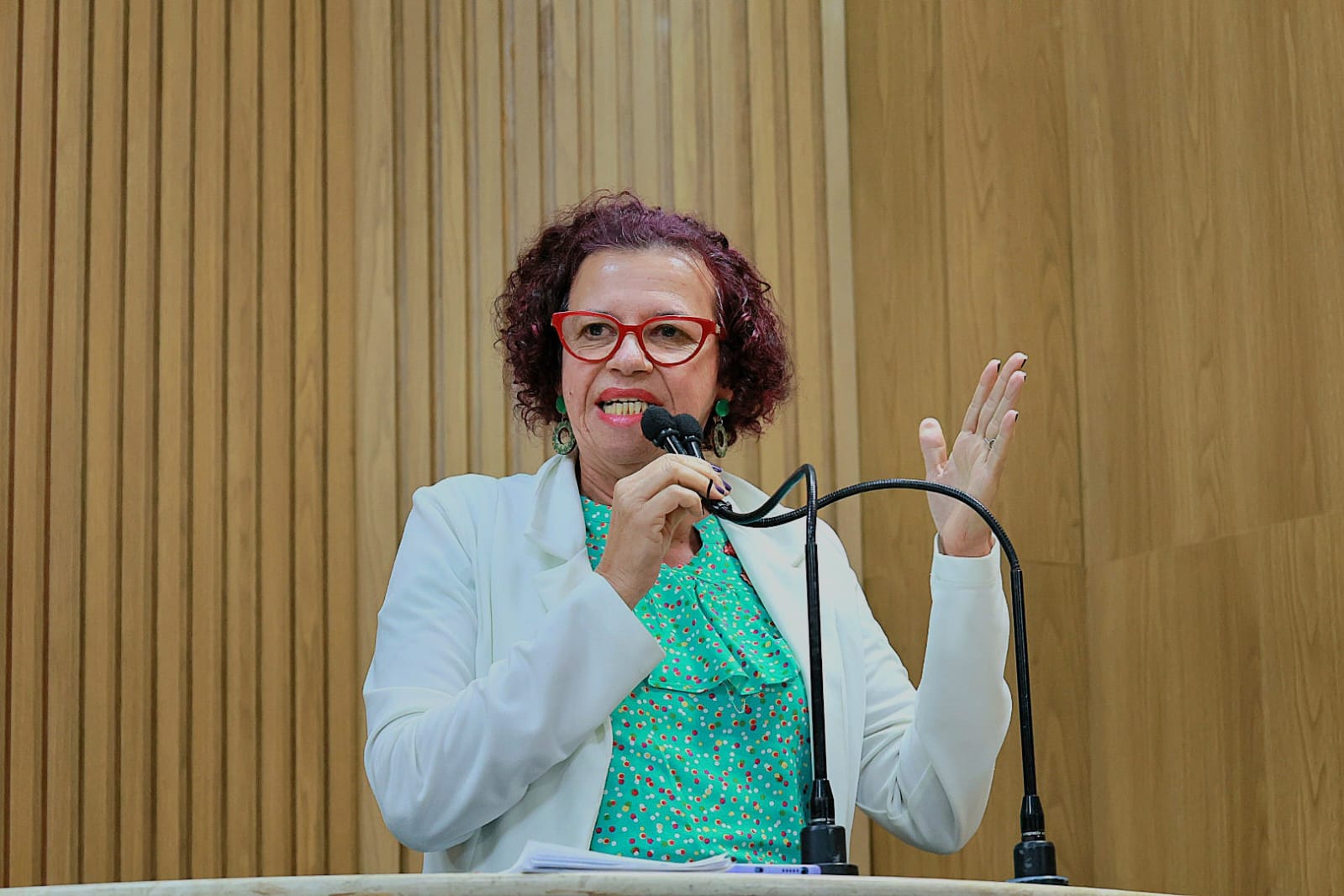 WhatsApp Image 2025-08-14 at 10.13.59.jpeg