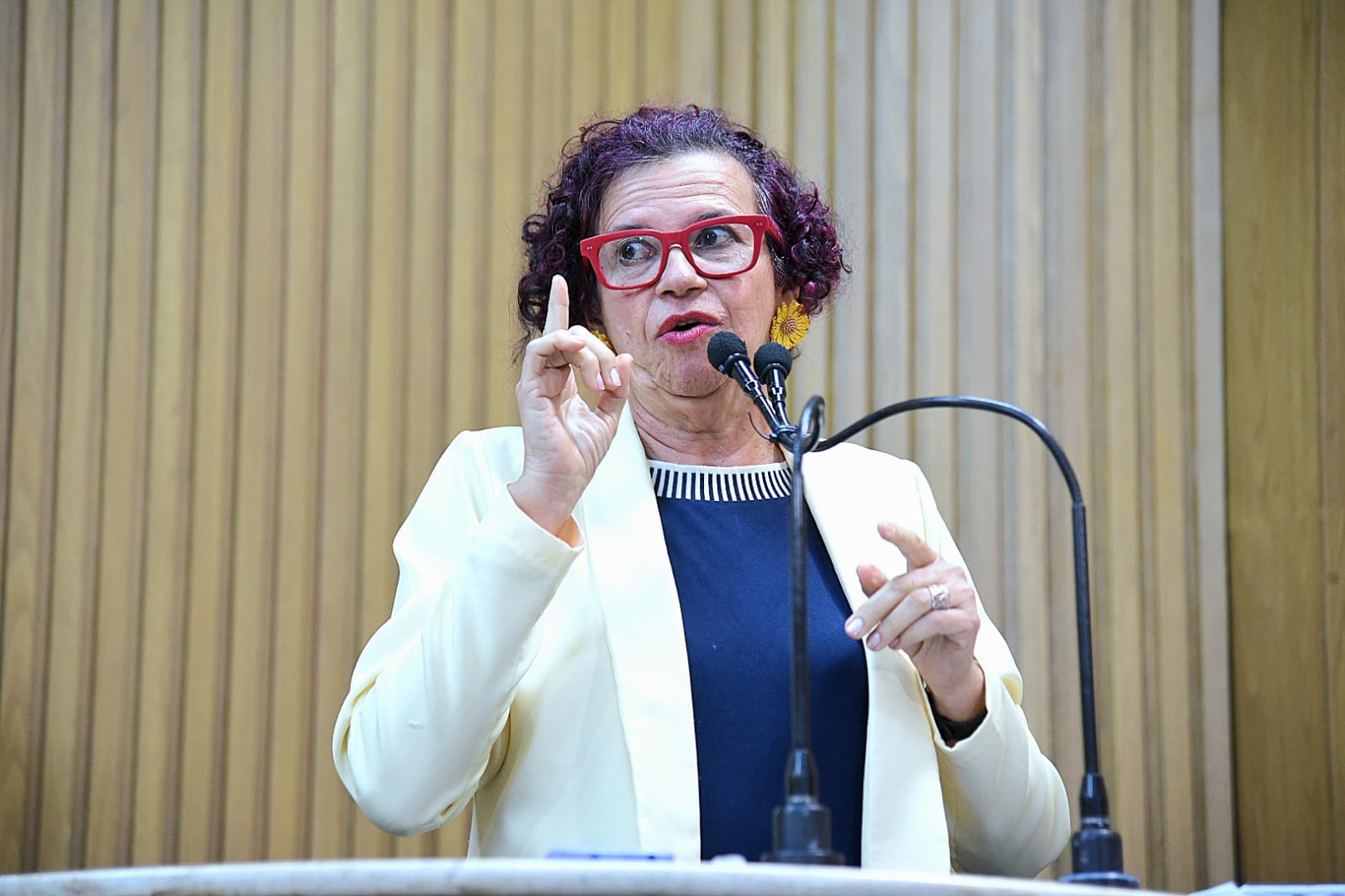 WhatsApp Image 2025-07-10 at 10.54.11 (1).jpeg