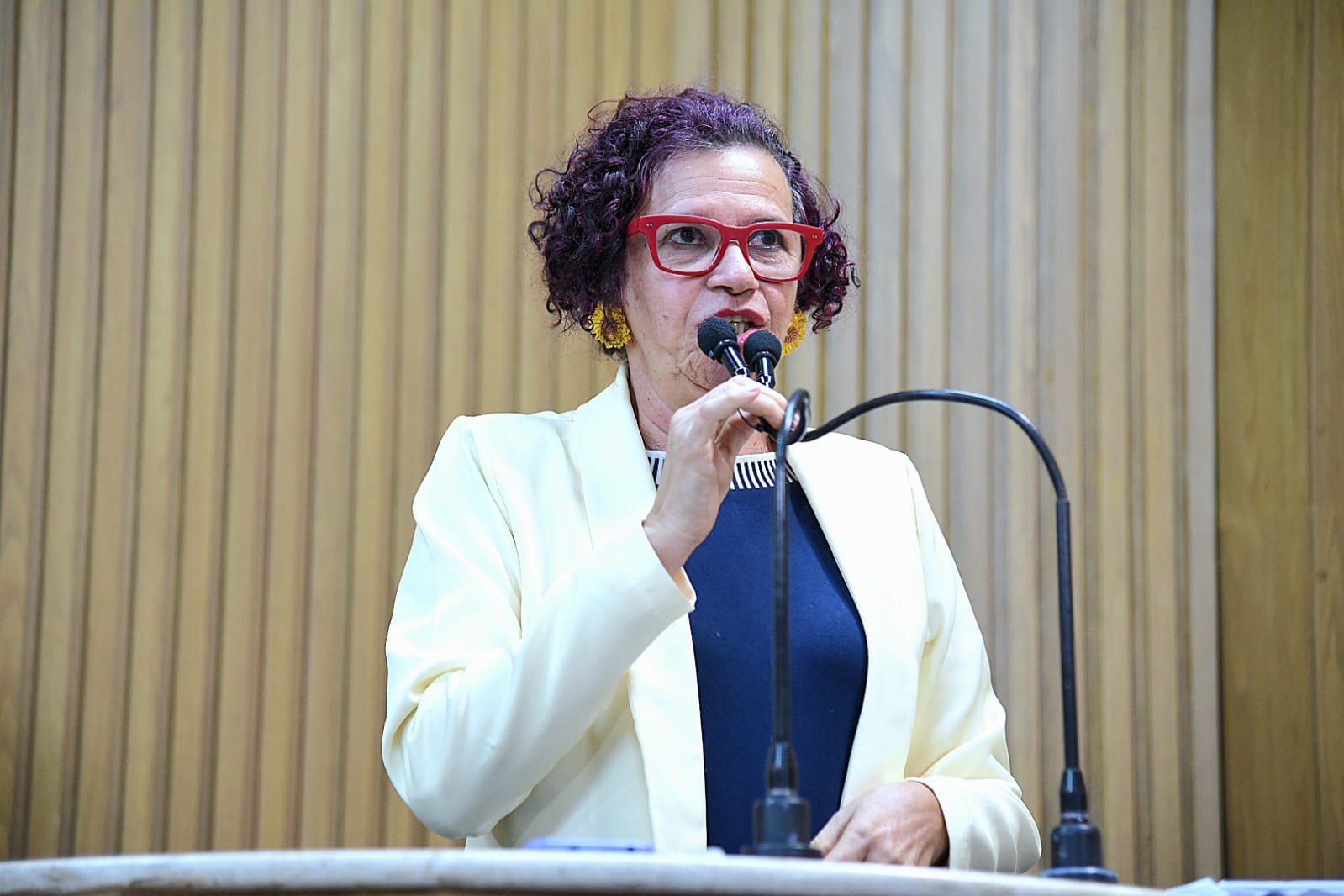 WhatsApp Image 2025-07-10 at 10.54.11.jpeg