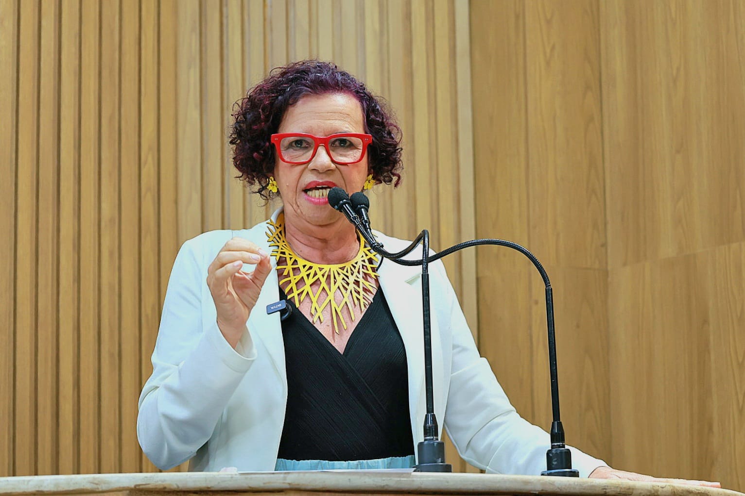 WhatsApp Image 2025-07-15 at 10.42.51 (2).jpeg