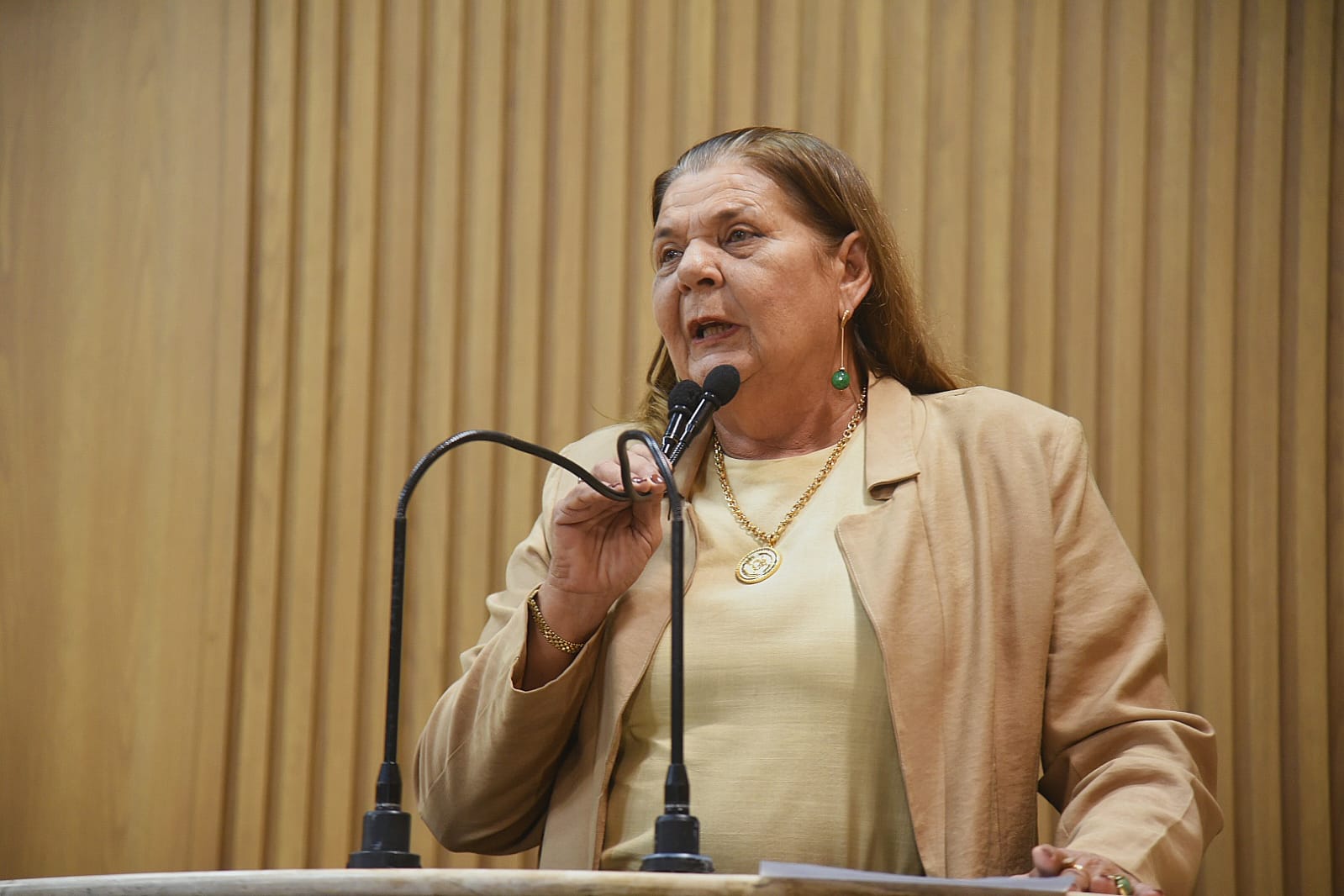 WhatsApp Image 2025-05-06 at 11.05.48 (2).jpeg