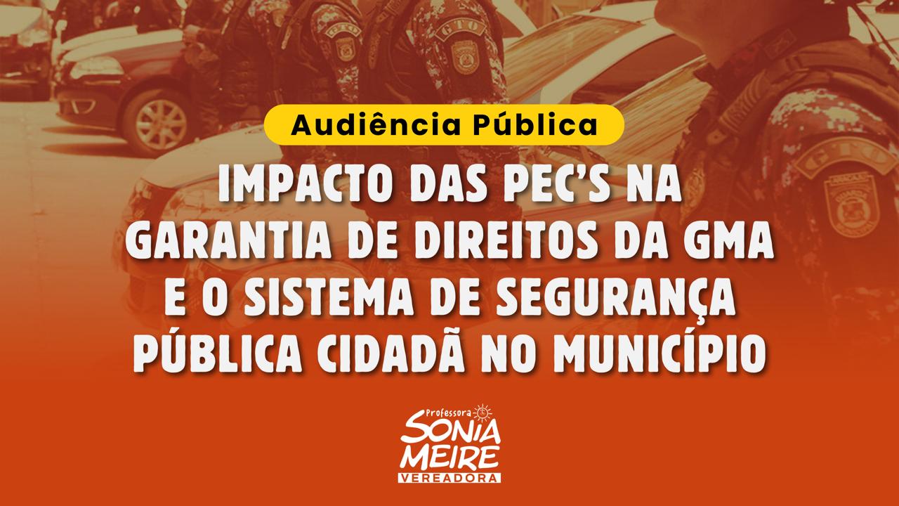  ‘Impacto das PEC’s na garantia de direitos da guarda e o sistema de Segurança Pública Cidadã’ é tema de audiência pública de autoria de Sonia Meire 