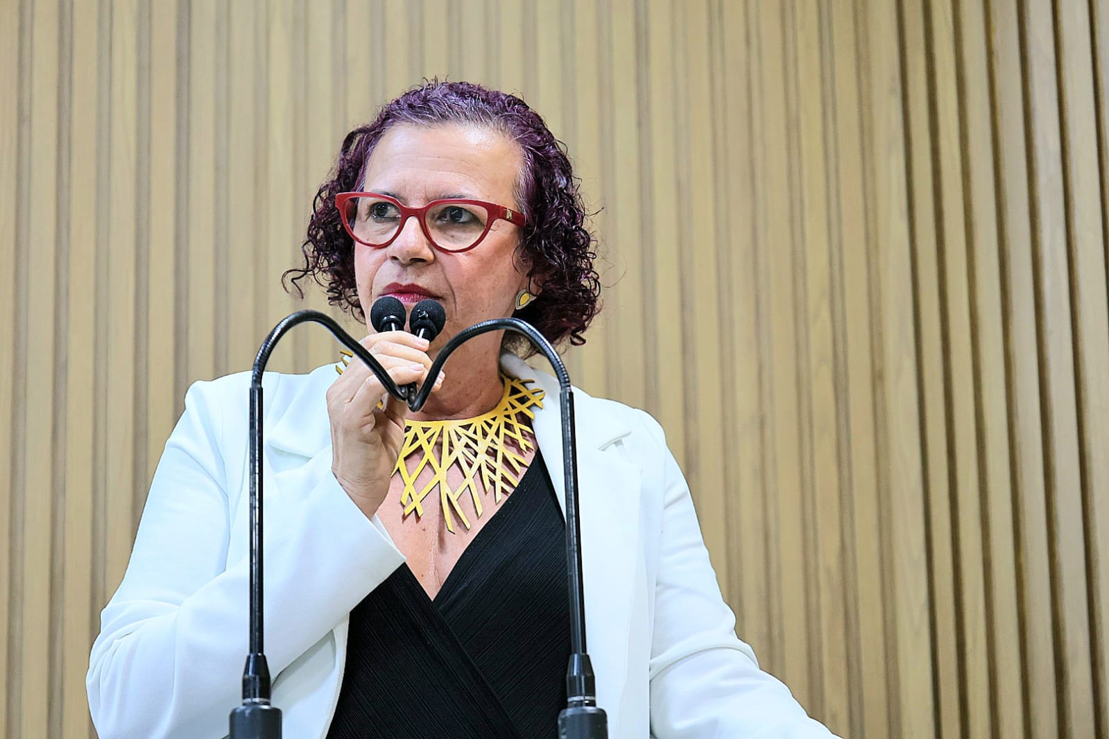 “ A população negra sofre as consequências do crime organizado, enquanto a ponta do iceberg está no andar de cima”, disse Sonia Meire 