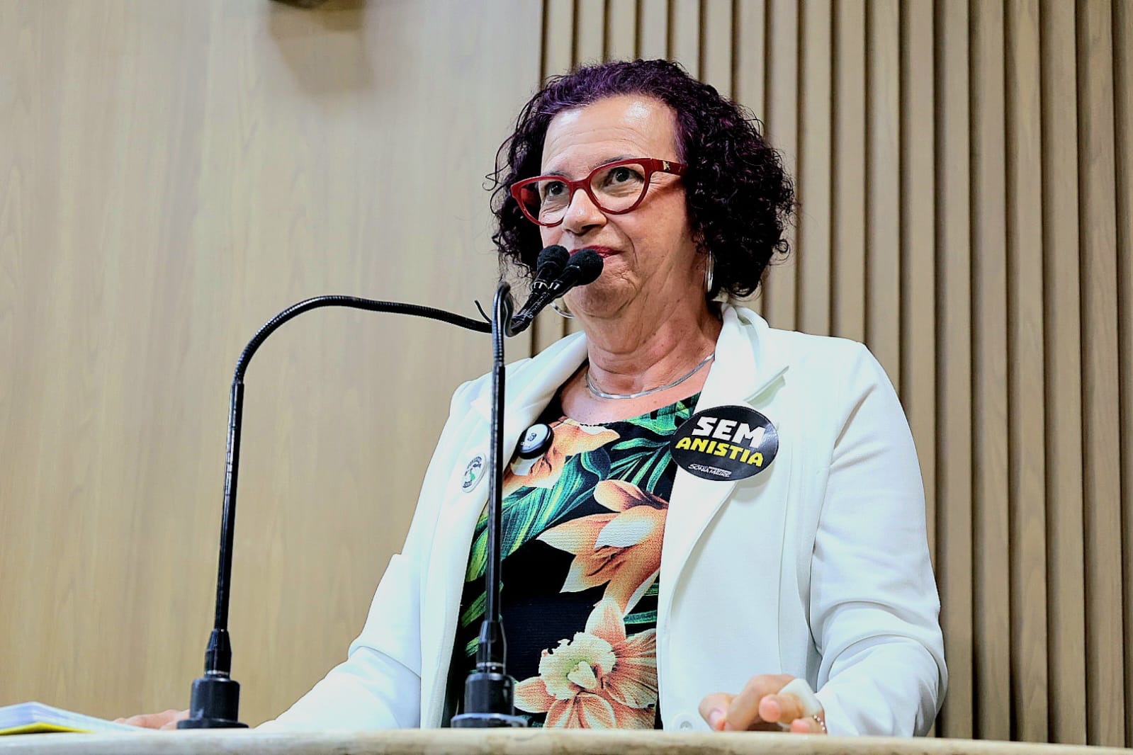 “A população brasileira amanheceu hoje com mais um atentado à nossa democracia”, diz Sonia Meire 