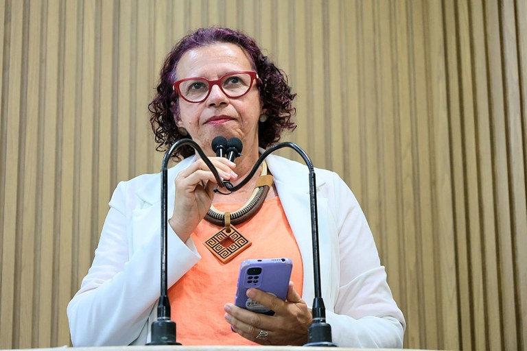 “Enquanto nós estamos aqui, mulheres estão sendo violentadas”, disse Sonia Meire 