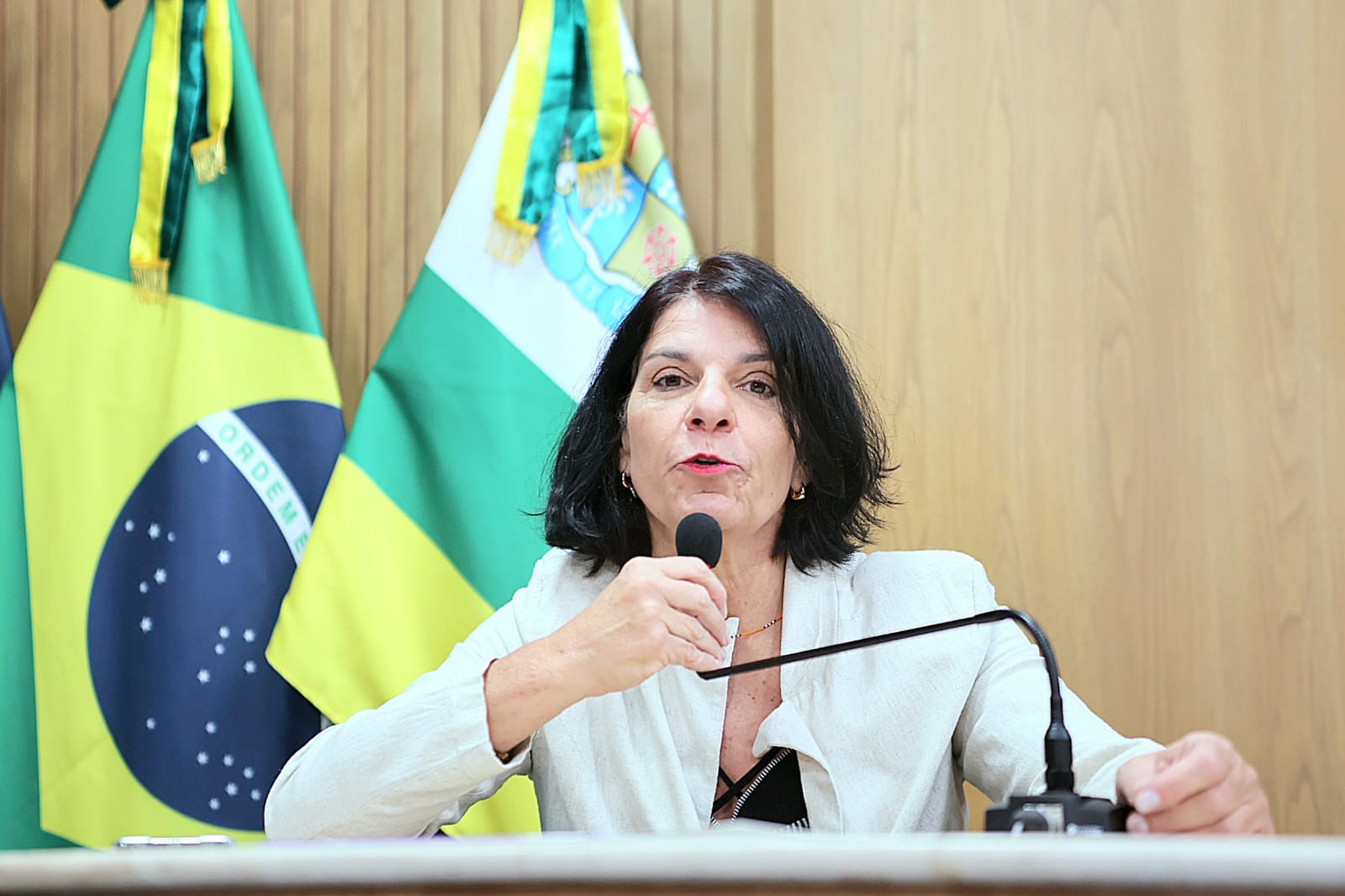  “Falar em políticas públicas para pessoas com deficiência é interromper o ciclo de violência e de violação de direitos humanos”