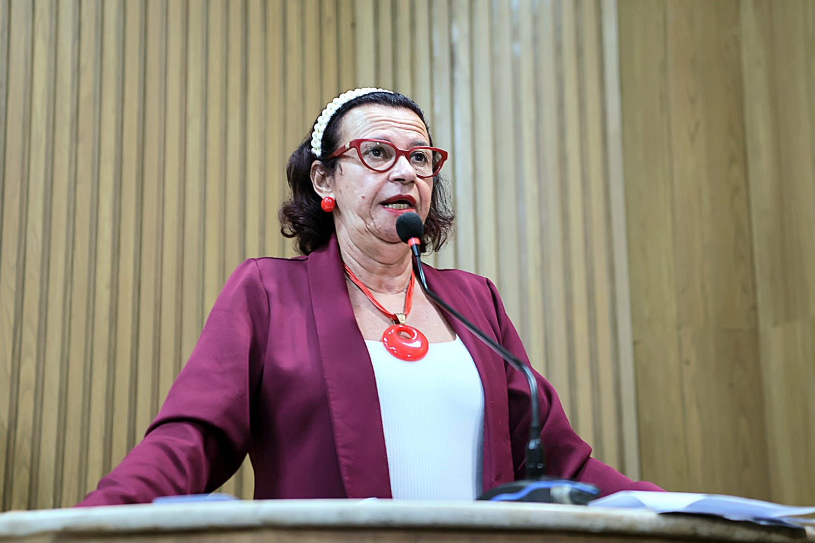 “O Brasil tem, neste primeiro trimestre, o período mais letal para as mulheres”, disse a vereadora Sonia Meire 