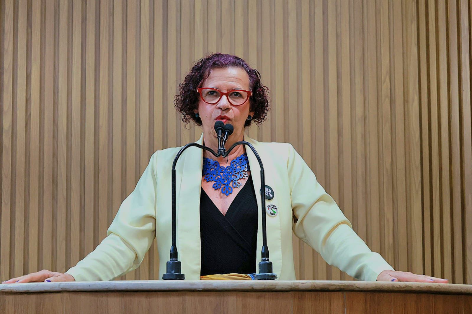 “O péssimo serviço da Iguá é consequência da destruição de uma empresa pública”, diz Sônia Meire 