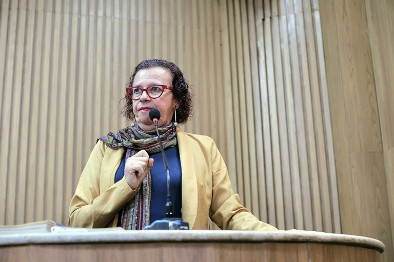 “PL da misoginia precisa ser votado para combater o ódio contra as mulheres”, disse Sonia Meire 