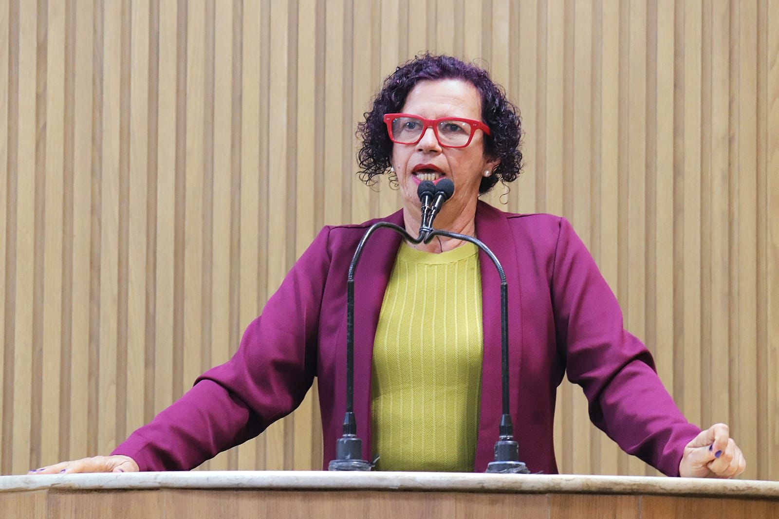 “Terceirização do trabalho na saúde pública tem causado vários problemas”, diz a vereadora Sonia Meire