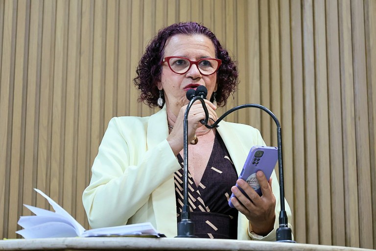 “Um presidente que foi eleito democraticamente foi preso por atentar contra nossa democracia”, disse Sonia Meire 