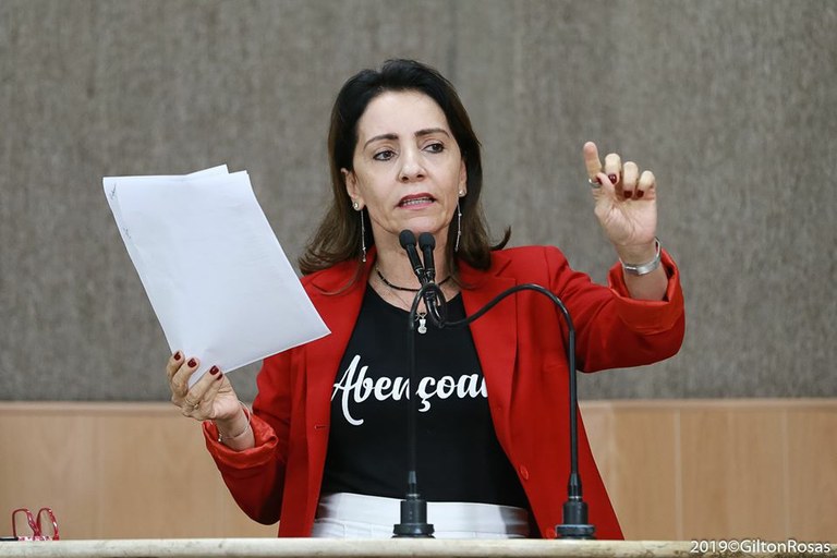 "É muito importante ter um grupo forte para disputar uma eleição”, afirma Emília Corrêa