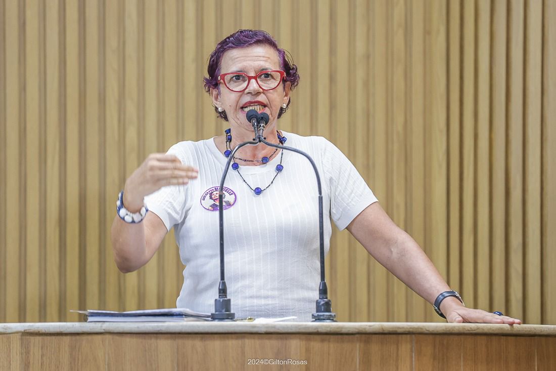 A importância da criação do cargo de profissional de apoio especializado é destaque na fala de Sonia Meire. 