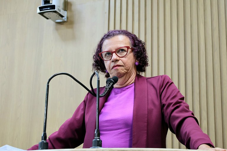 Vereadora Sonia Meire repudia projeto da câmara federal que restringe acesso ao aborto legal 