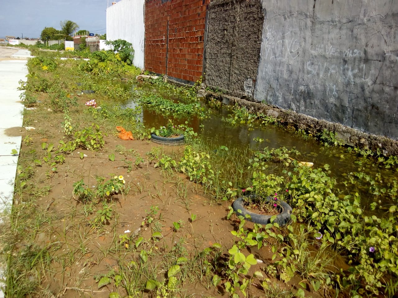 Américo de Deus solicita à Emurb ação imediata para acabar com criadouros de vetores na Atalaia e Aeroporto