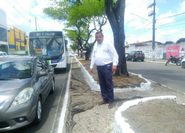 Américo encaminha ofício para Sema vistoriar árvores na Avenida Simeão Sobral