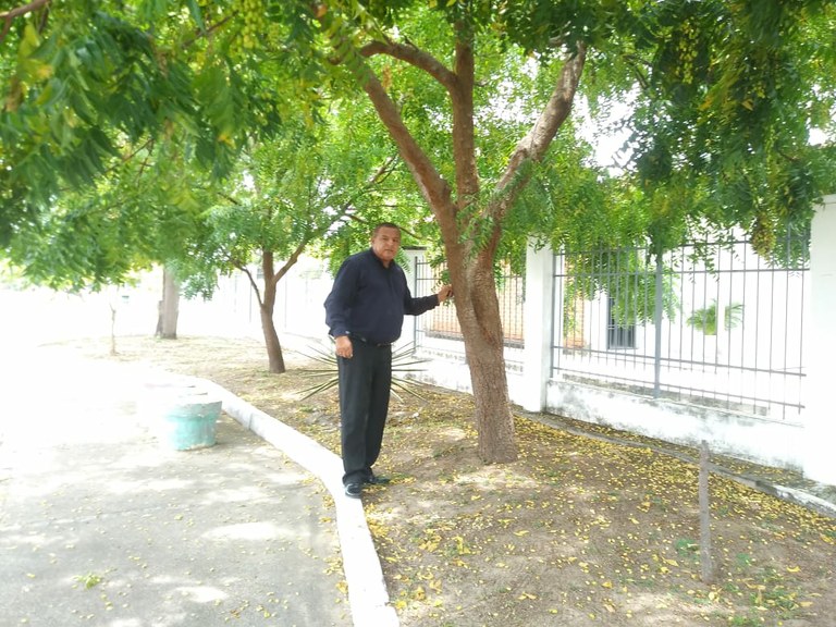 Américo vistoria árvores de raízes agressivas no Santa Tereza com equipe da Sema