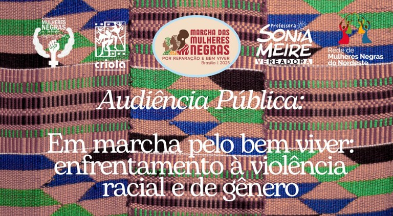 Audiência pública destaca enfrentamento à violência racial e de gênero 