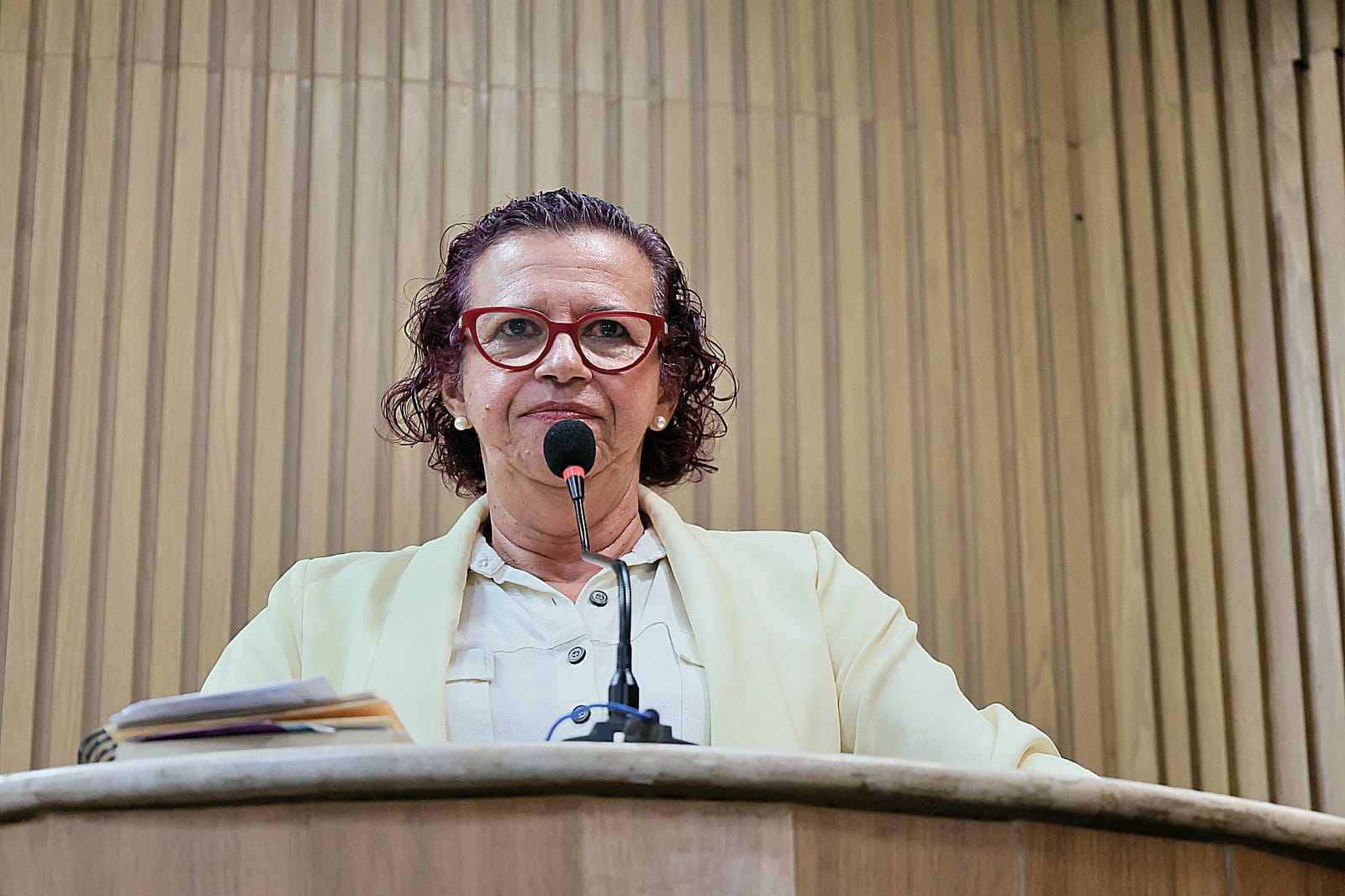 Aumento dos casos de feminicídio é repudiado pela vereadora Sonia Meire 