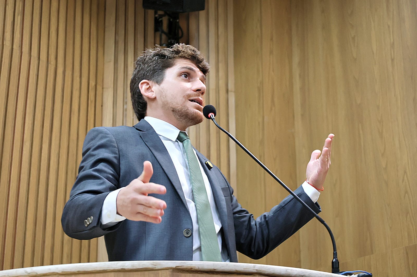 Breno Garibalde reforça importância de planejamento técnico na arborização urbana 