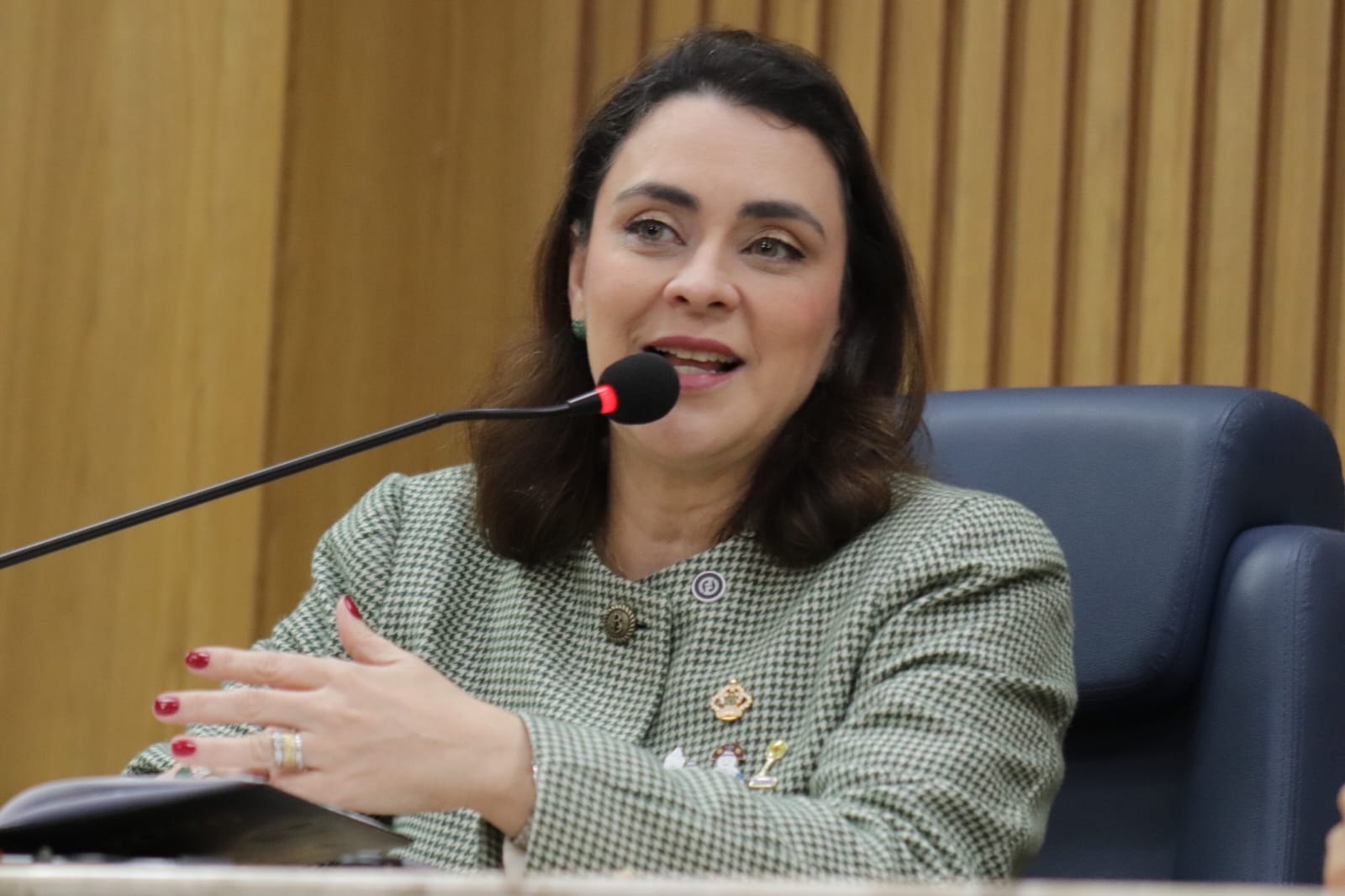 CMA debate avanços, redução de filas e desafios da saúde durante apresentação do 1º quadrimestre de 2026