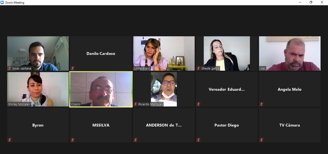 Comissão de Saúde recebe Sindicato dos Enfermeiros de Sergipe em reunião on-line