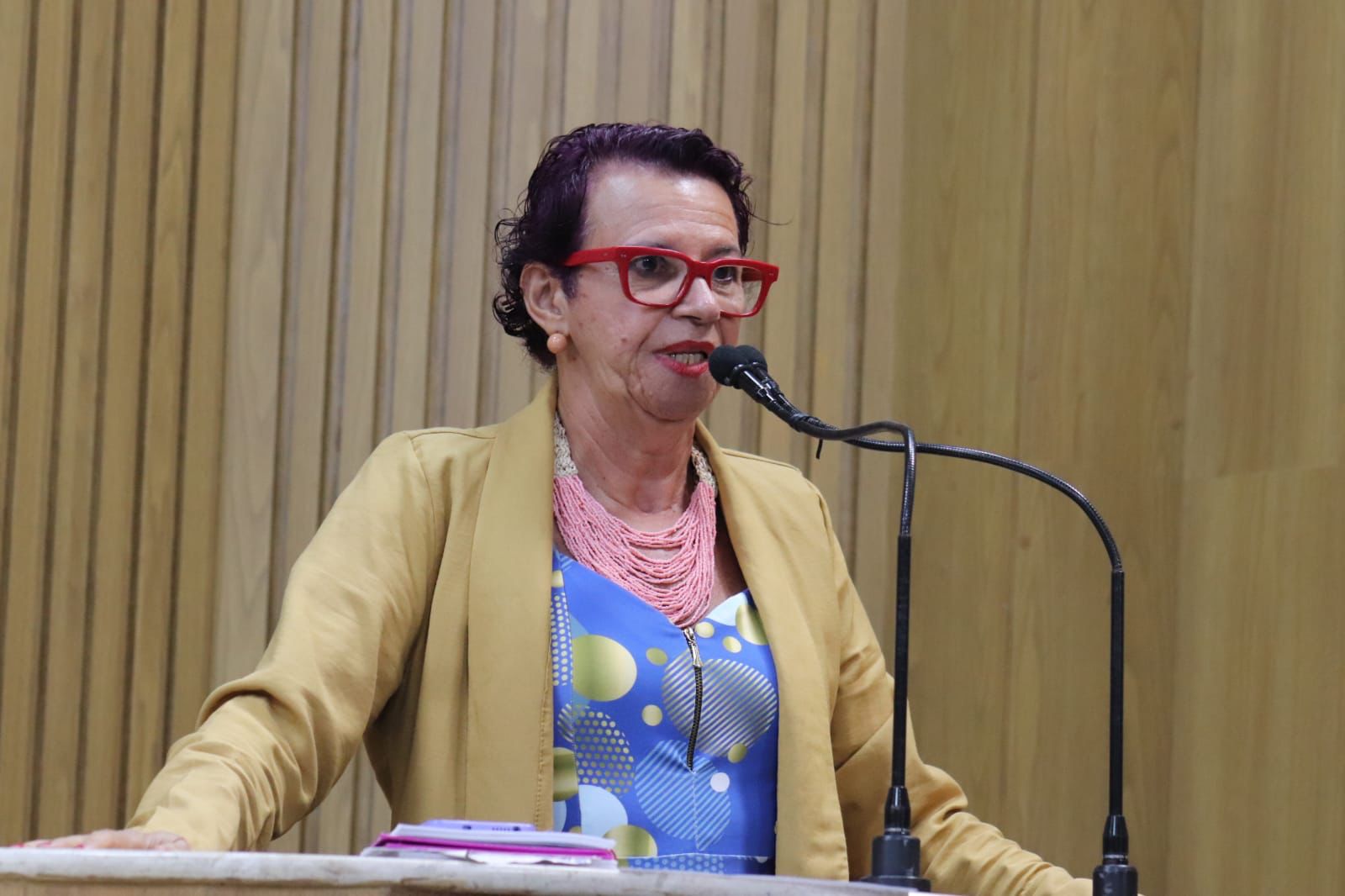 Contratação de empresas de limpeza urbana em Aracaju está sendo fiscalizada por vereadora Sonia Meire 