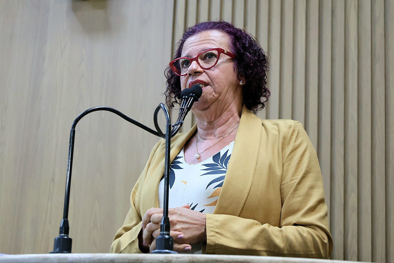 Contratação de Organizações Sociais é denunciada pela vereadora Sonia Meire