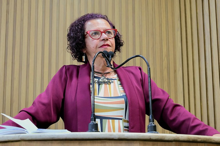 Demandas do bairro Lamarão são apresentadas pela vereadora professora Sonia Meire 