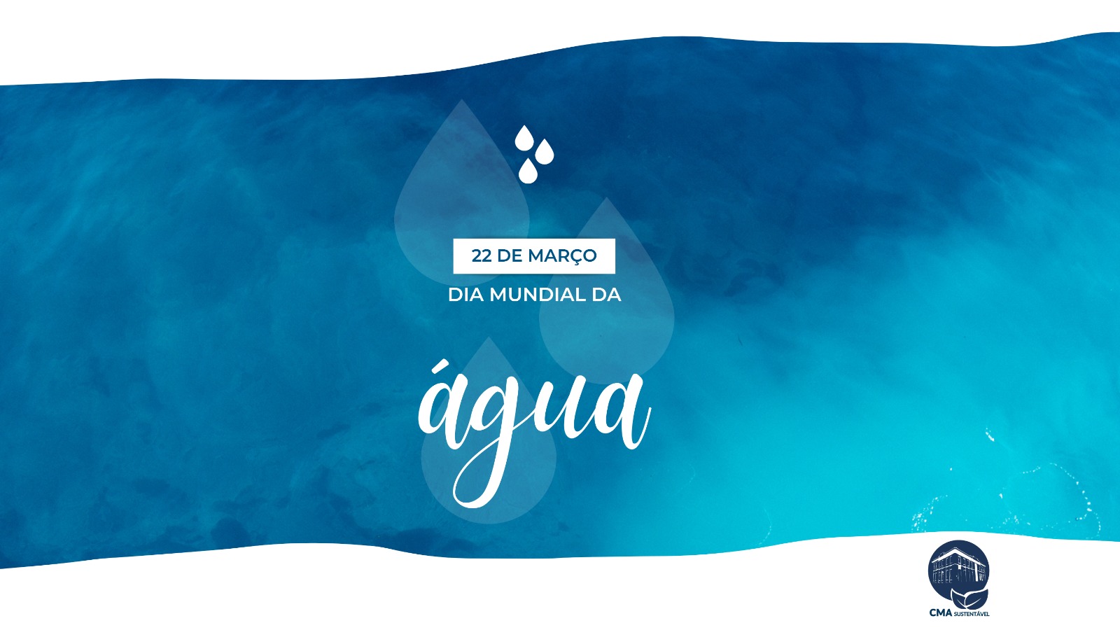 Dia da Água: CMA reforça compromisso com a preservação hídrica por meio de legislação abrangente