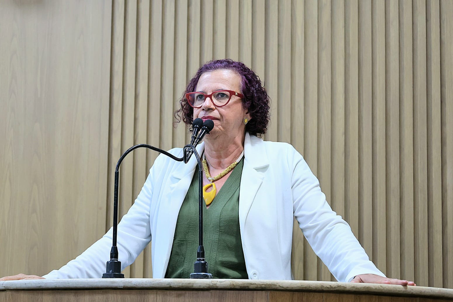 Dia do Servidor Público é exaltado pela vereadora professora Sonia Meire 