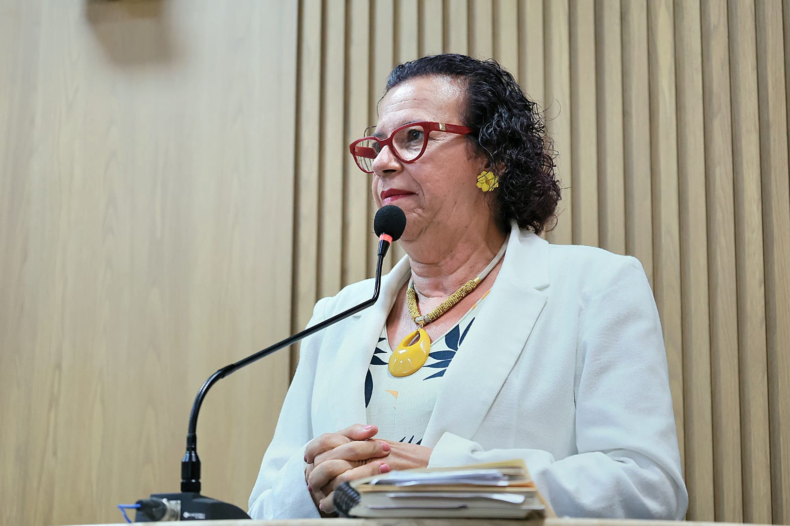 Dia Mundial de Conscientização do Autista é destacado pela vereadora Sonia Meire