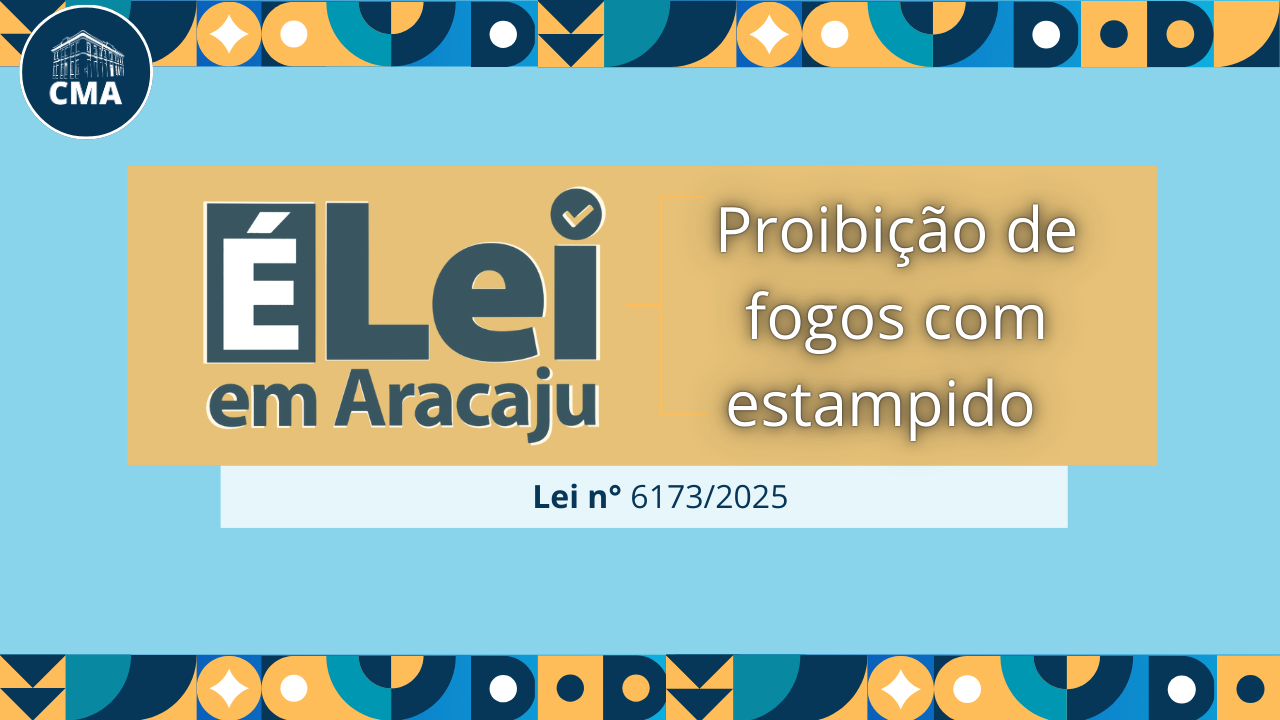 É Lei em Aracaju: projeto que proíbe a venda de fogos de artifício com estampido é sancionado em Aracaju 