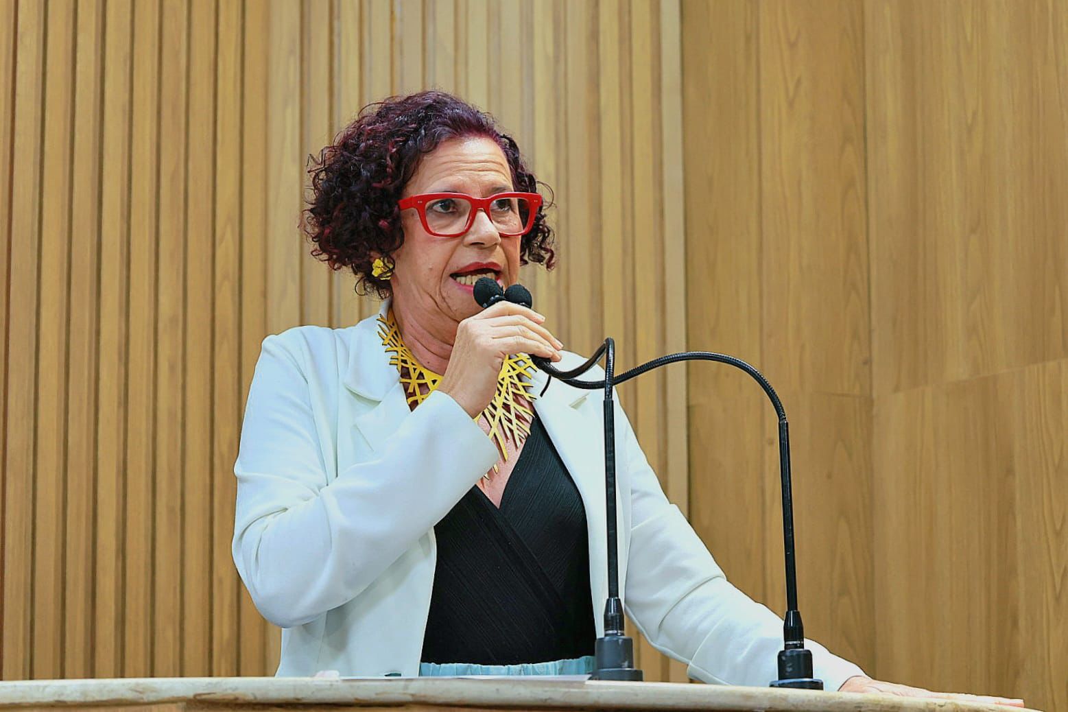 Emendas da vereadora Sonia Meire referentes à LDO são aprovadas na Câmara Municipal de Aracaju 