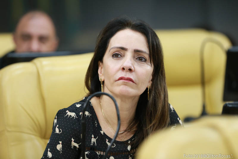 Emília cobra a presença mais efetiva da Guarda Municipal na Rodoviária Nova