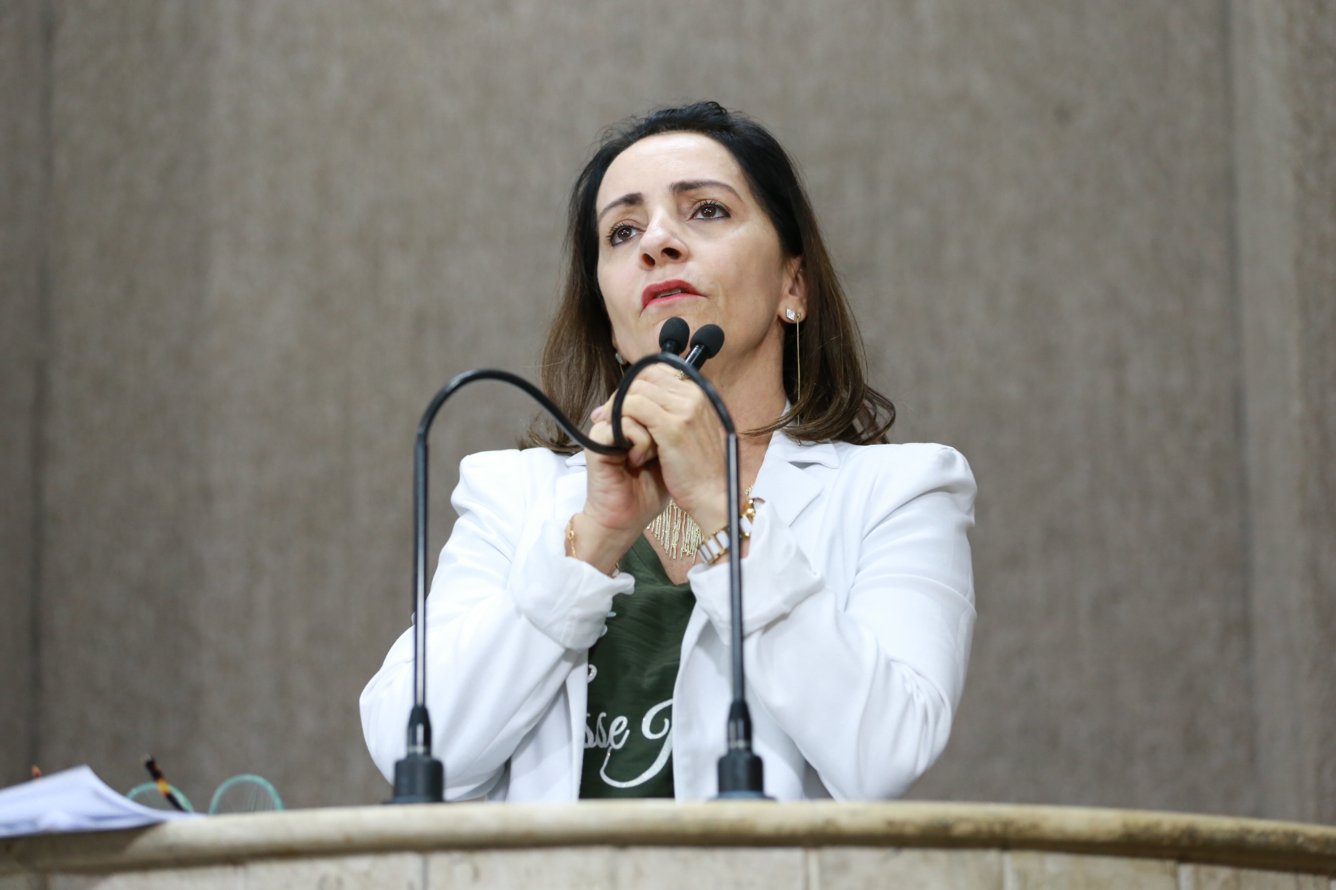 Emília Corrêa: “Terminou o ano e tal licitação do Nestor Piva foi só balela”