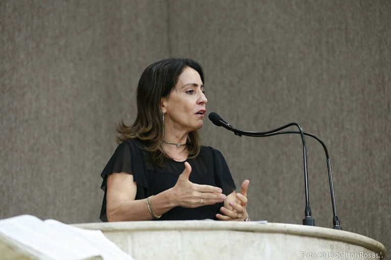 Emília Corrêa diz que presidência da Câmara coloca Regimento Interno no bolso