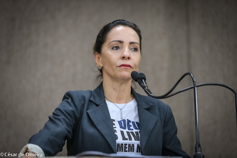 Emília Corrêa faz balanço do primeiro semestre de legislatura