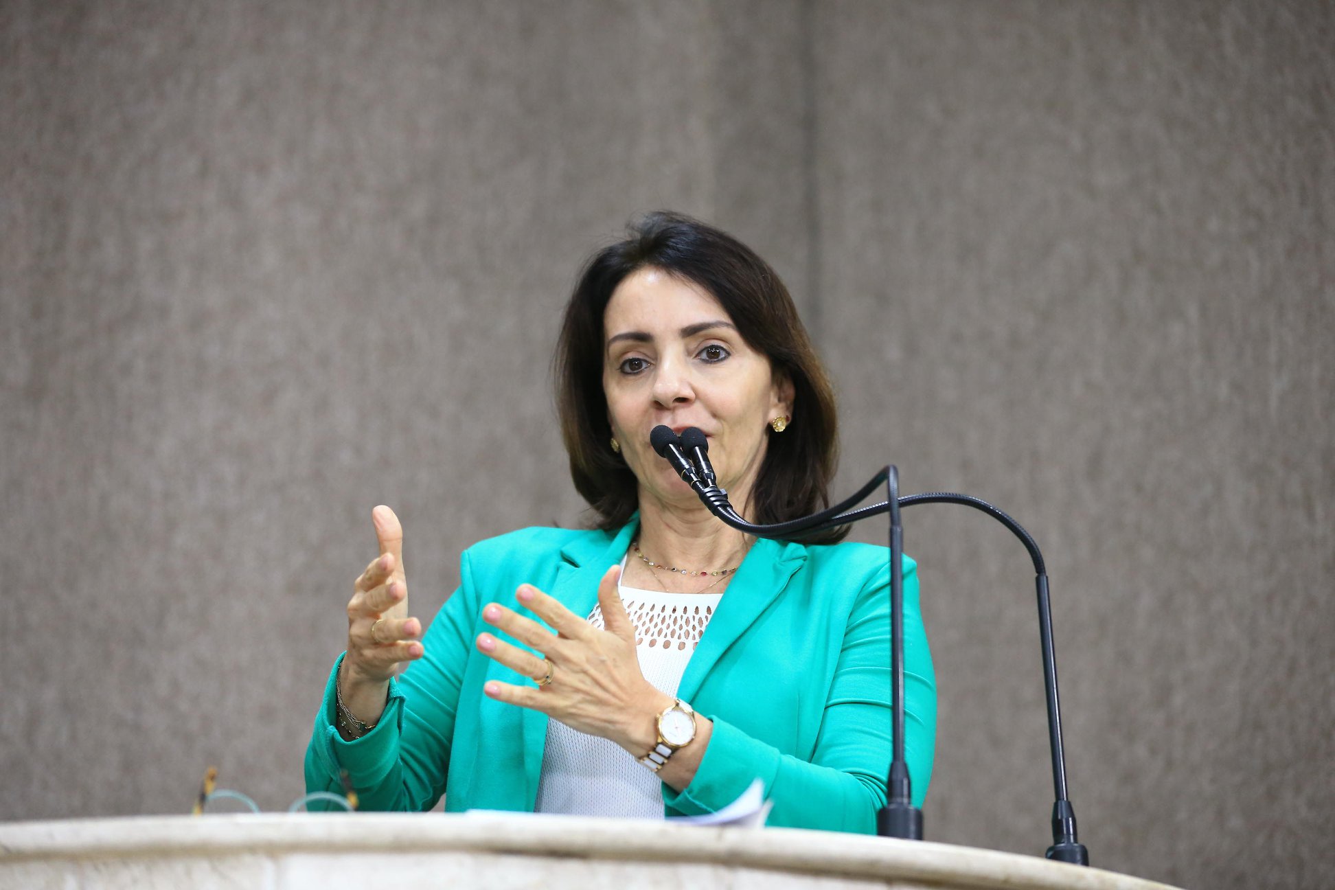 Emília Corrêa: Inverter as falas é de praxe na CMA