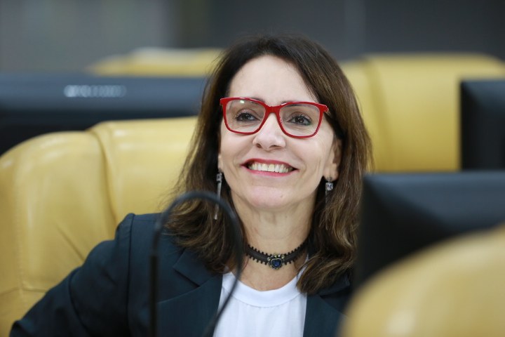 Emília Corrêa: Lei que prevê o hasteamento da bandeira oficial de Aracaju em espaço público e privado está em vigor