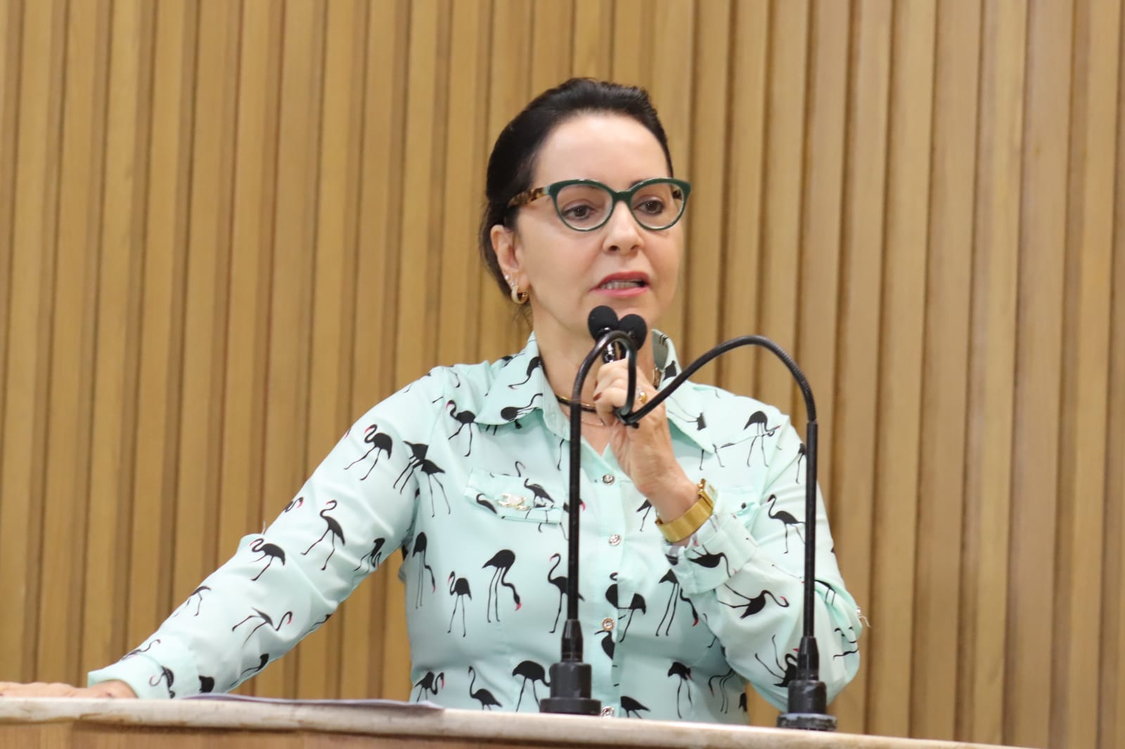 Emília defende aprovação do transporte complementar