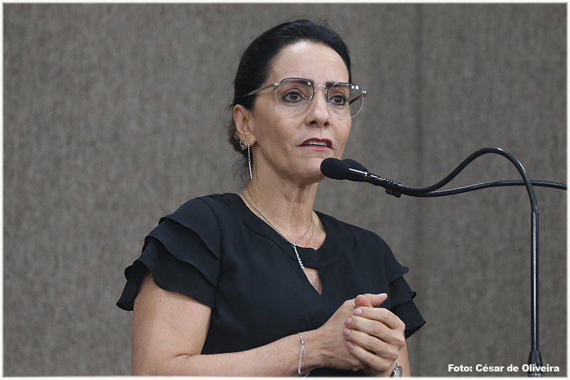 Emília faz balanço e critica ofensas recebidas de alguns parlamentares