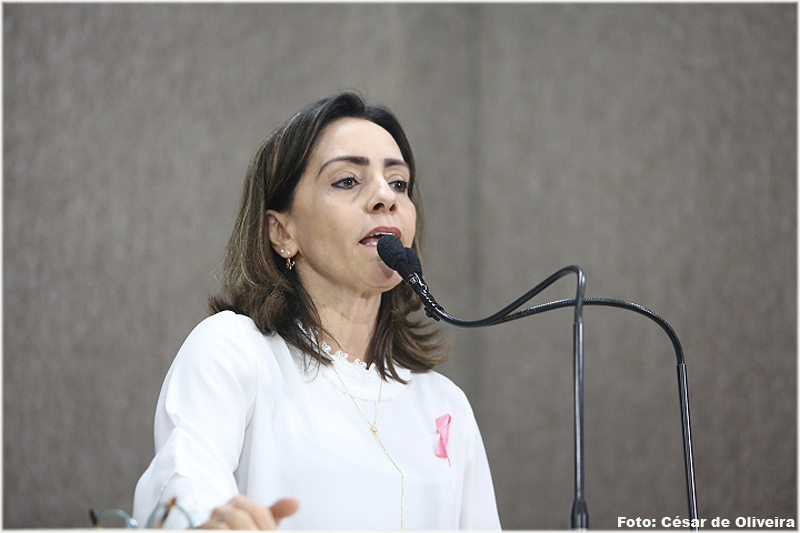 Emília lembra que todo projeto de lei apresentado agrada uns, e desagrada a outros