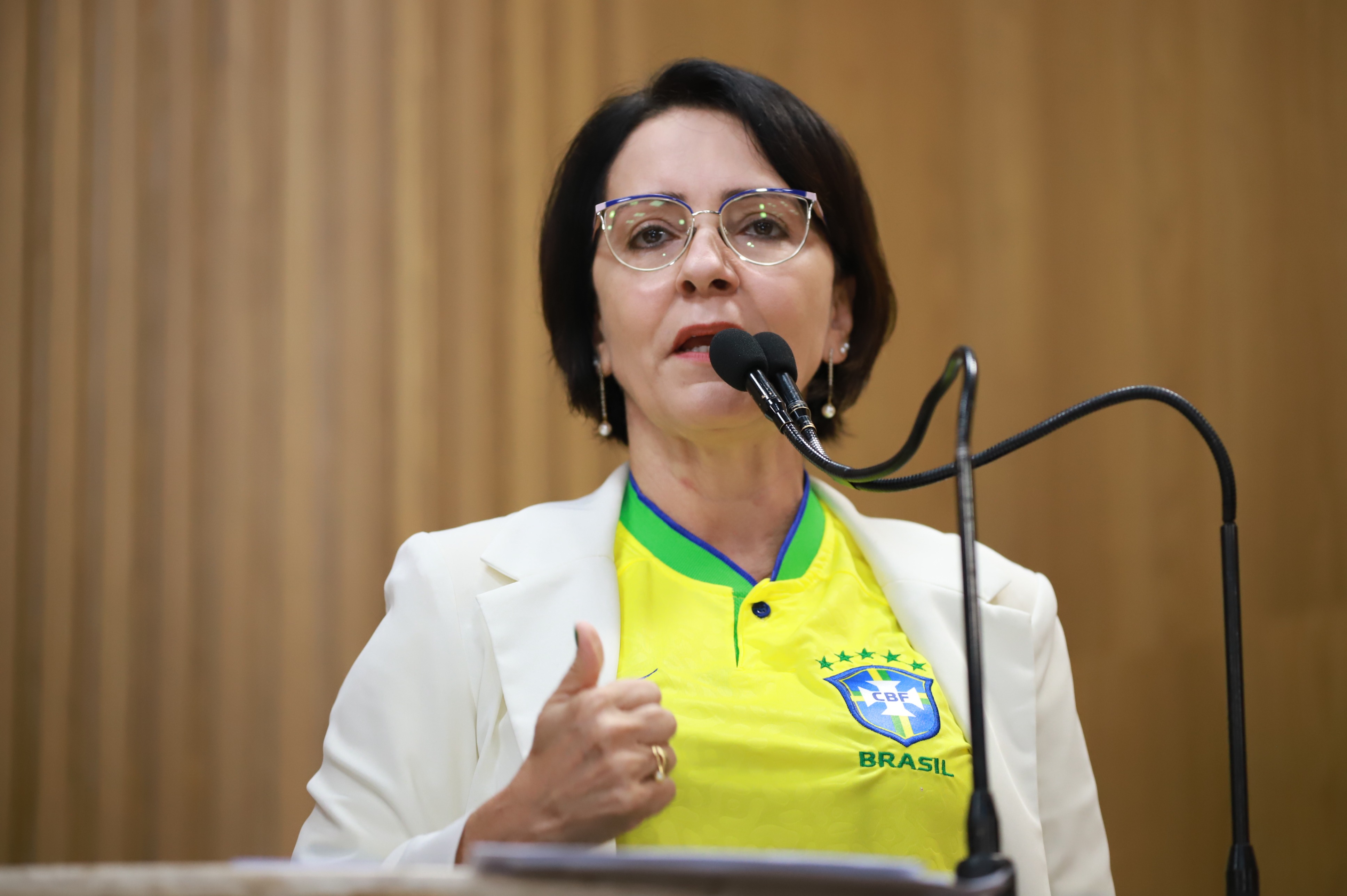 Emília ressalta importância da Lei em combate à violência contra às mulheres